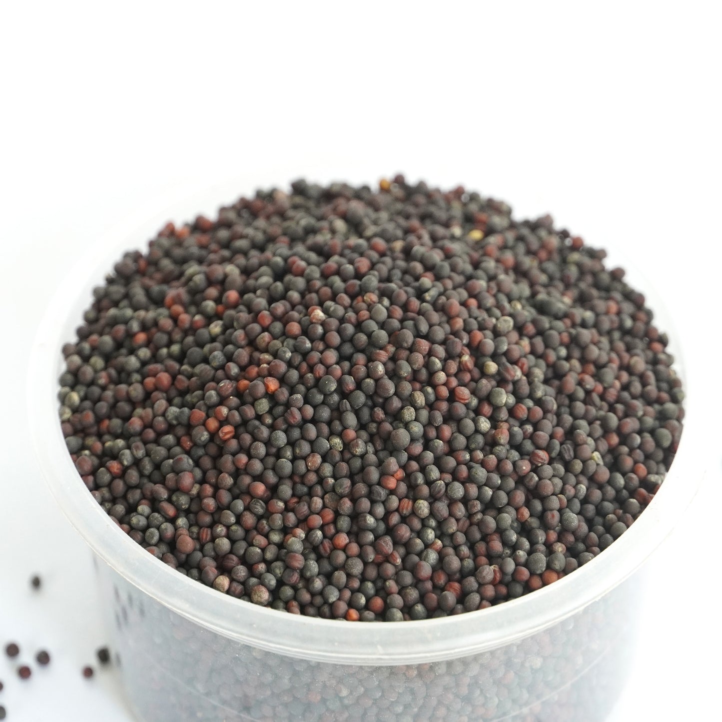 BROCCOLI Microgreen Seeds | 50gm | Open Pollinated, Non Treated, Non GMO Seeds | 90% Germination