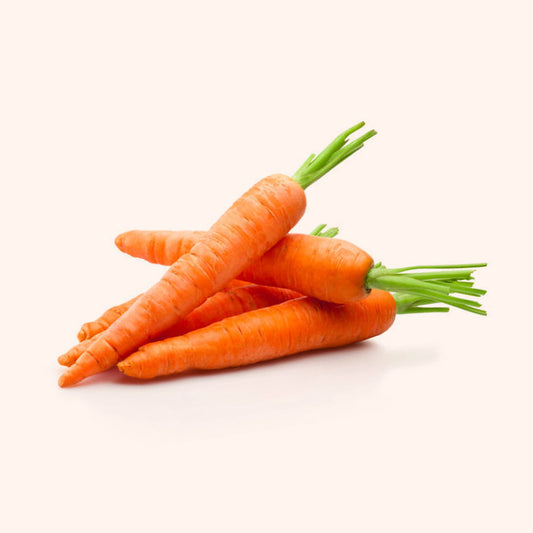 Hybrid Carrot Seeds