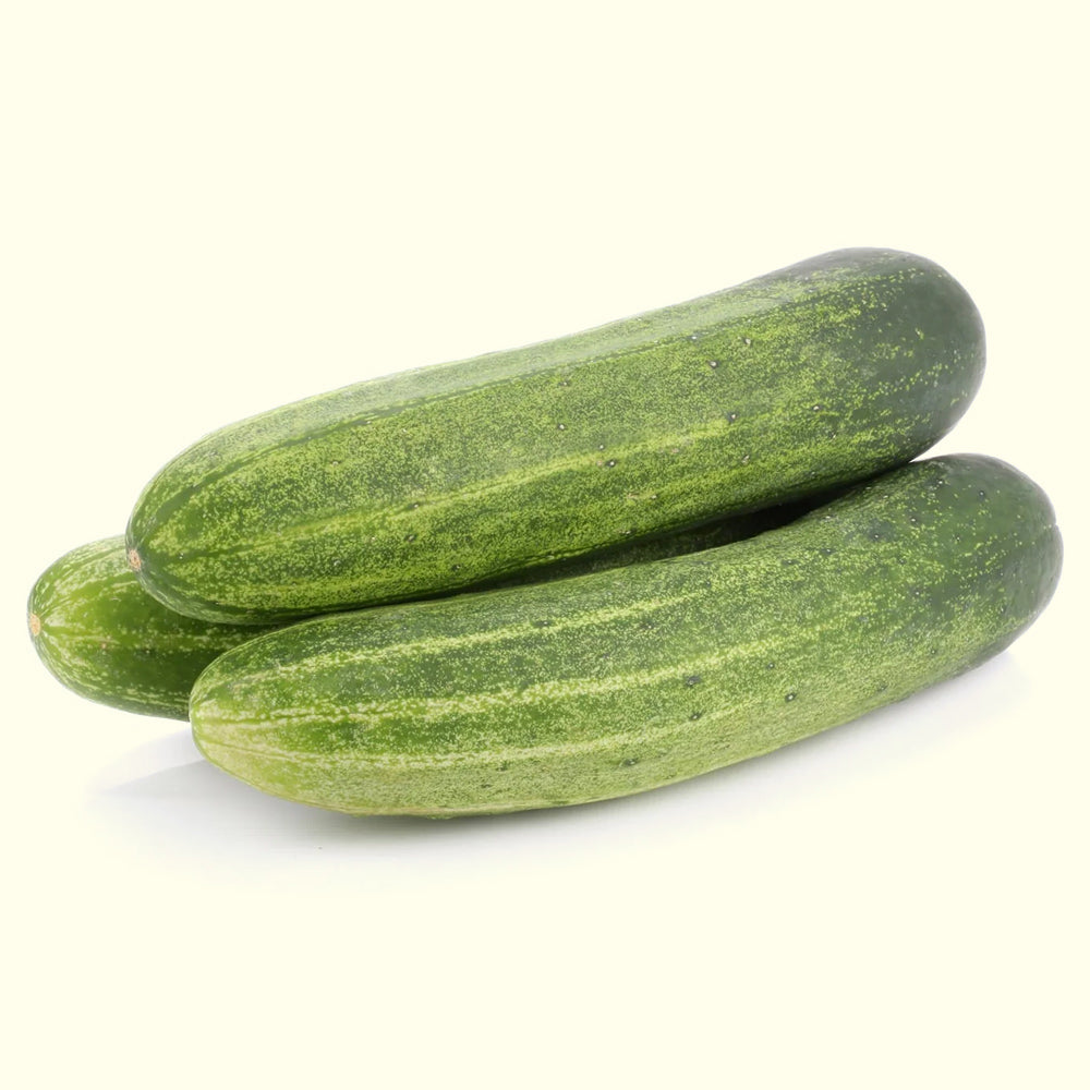 Cucumber Salad Hybrid - 20 seeds