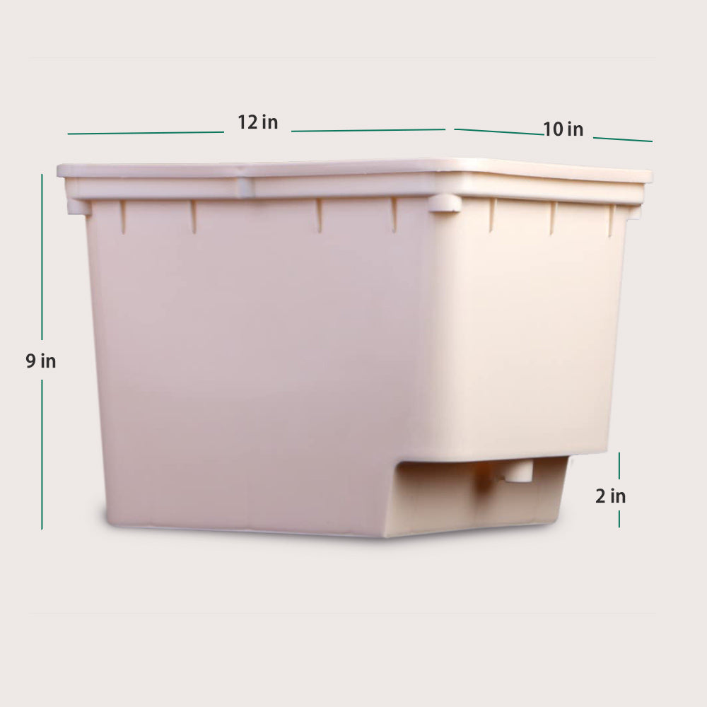 Dutch Bato Bucket, Beige - Pack of 5