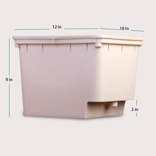 Dutch Bato Bucket, Beige - Pack of 5