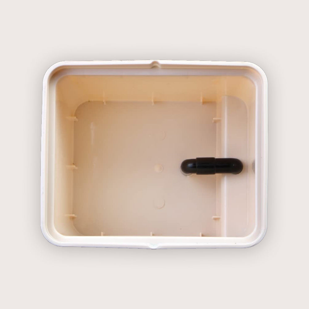 Dutch Bato Bucket, Beige - Pack of 5