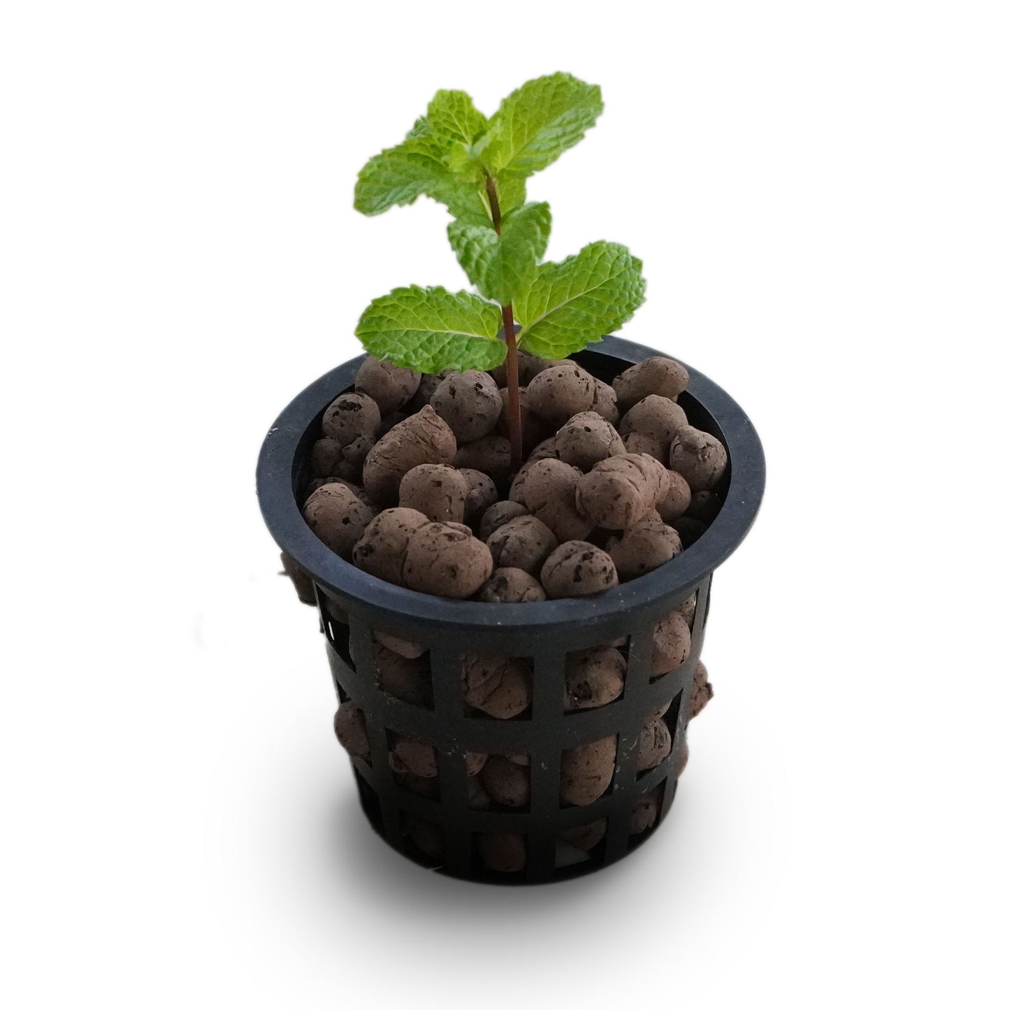 Clay Balls, Hydrotons, Lightweight Expanded Clay Aggregate Leca (Fly Ash)