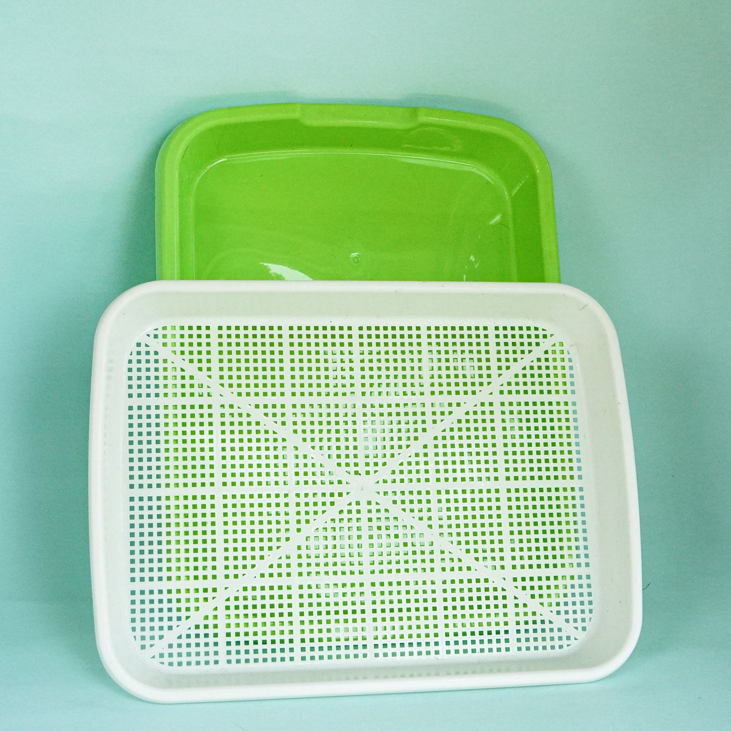 Microgreens Seed Sprouter Tray (Pack of 1 Set) | Microgreen Growing Tray | Hydroponic Seed Germination Plastic Tray with Holes