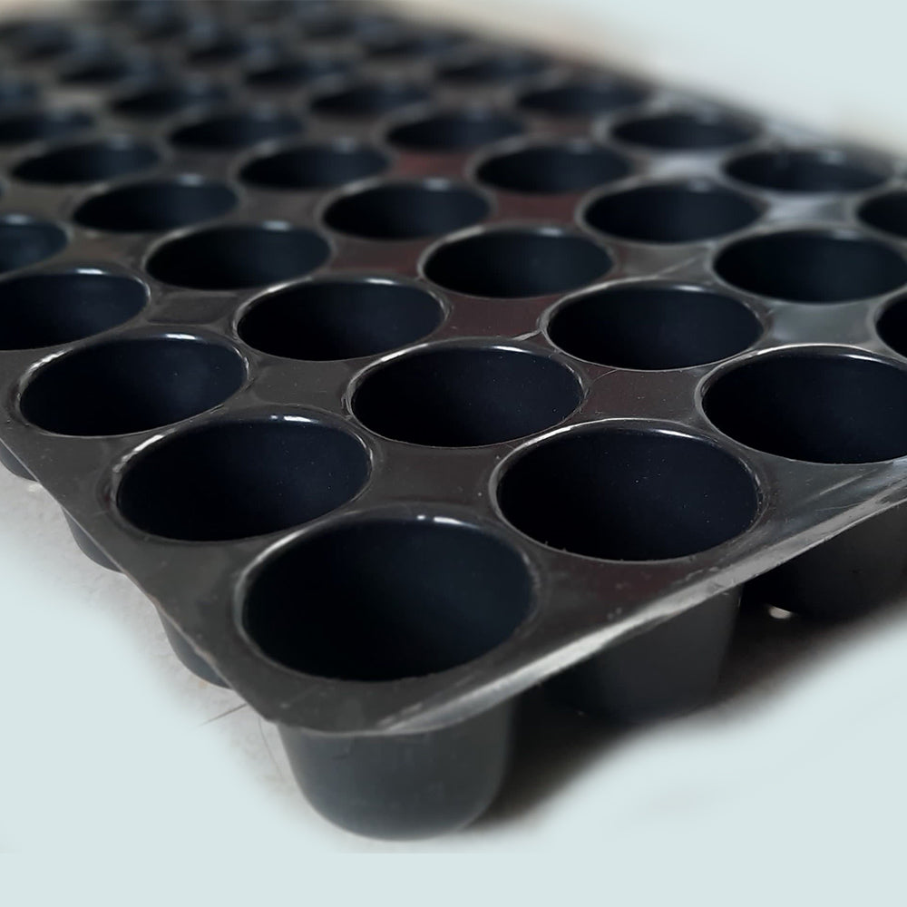 50 Cavity Seedling Tray, Propagation Tray - Set of 10
