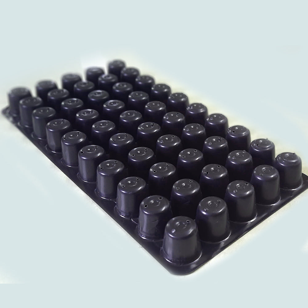 50 Cavity Seedling Tray, Propagation Tray - Set of 10