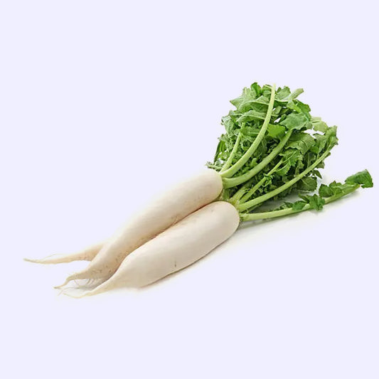 White Radish Seeds  -100 seeds