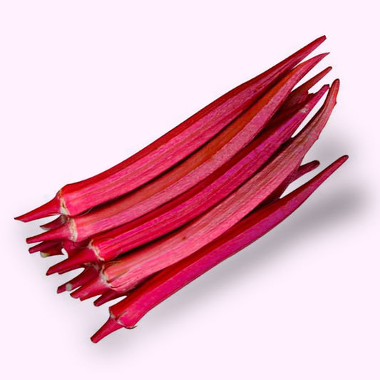 Anakkomban - Red Elephant Tusk Okra Seeds – 10 Seeds