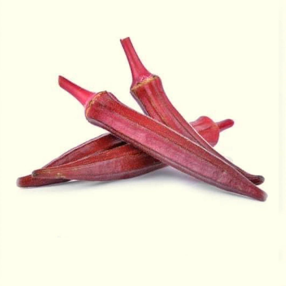 Red Okra Seeds – 20 Seeds