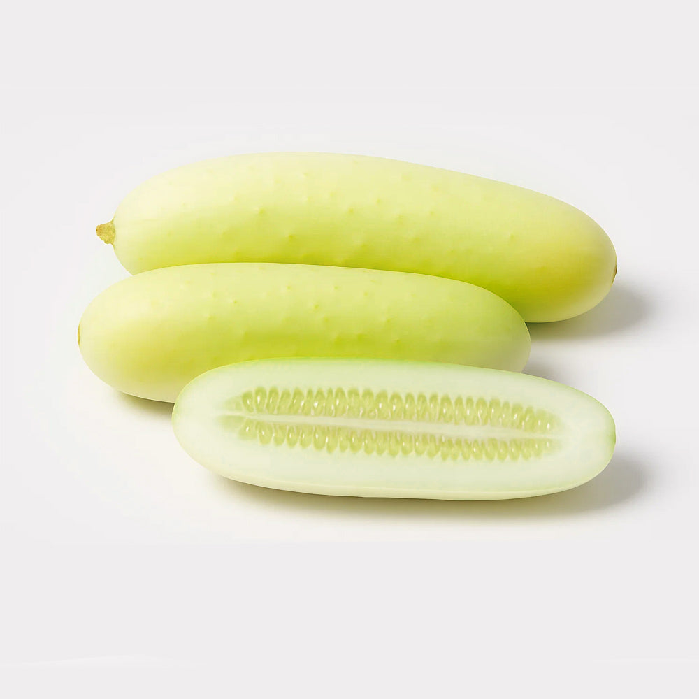 Cucumber - Snow white - 20 seeds