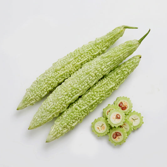 White Bitter Gourd Yamuna  – 10 Seeds