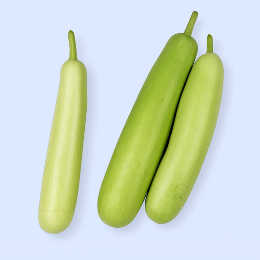 Bottle gourd seeds - 25 seeds