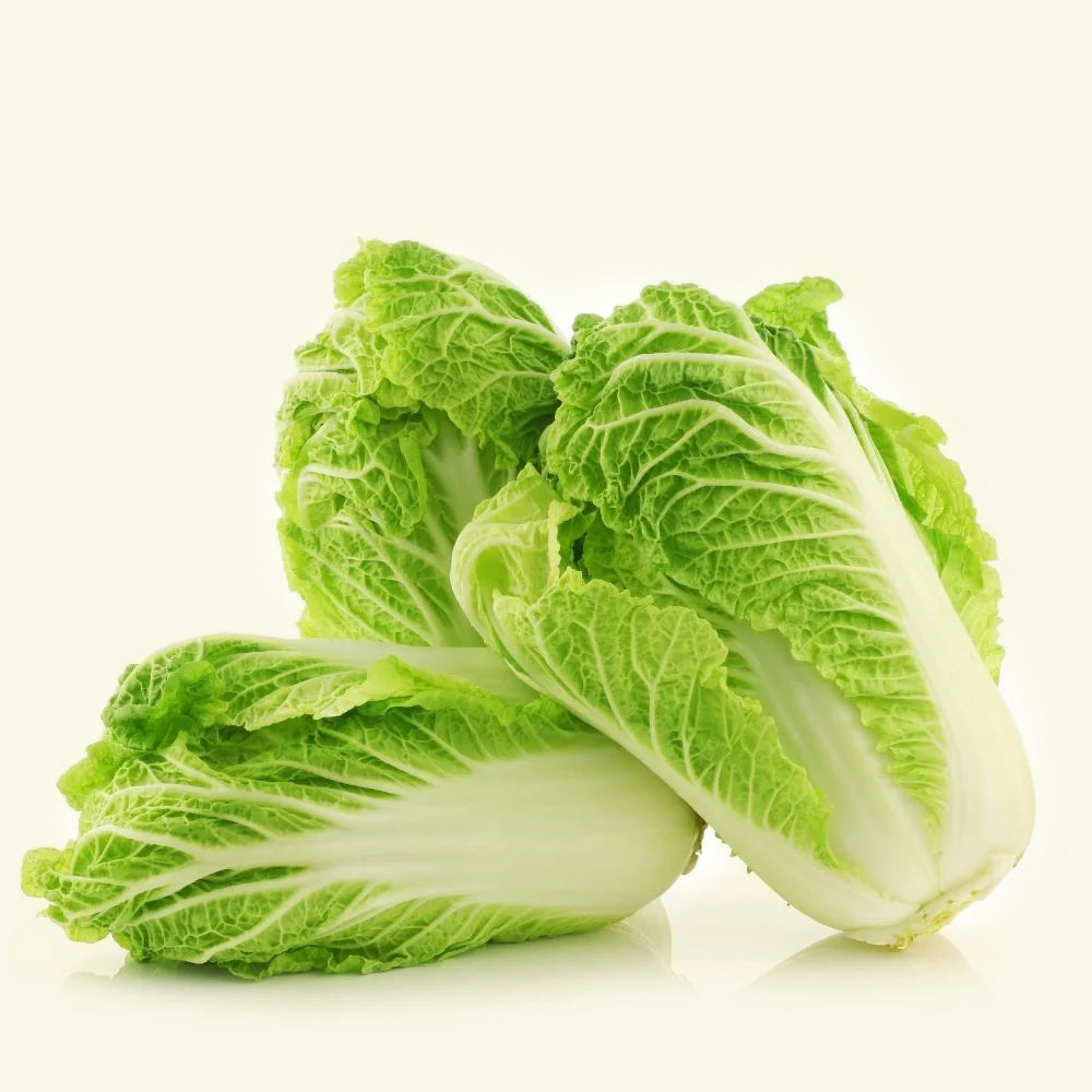 Chineese cabbage seeds