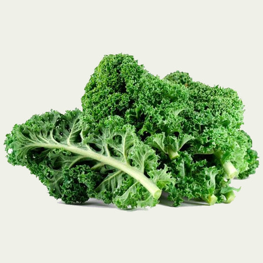 Curly Kale Hybrid - 100 seeds