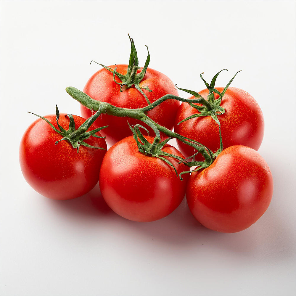 Indeterminate F1 Hybrid Tomato Seeds - 100 seeds