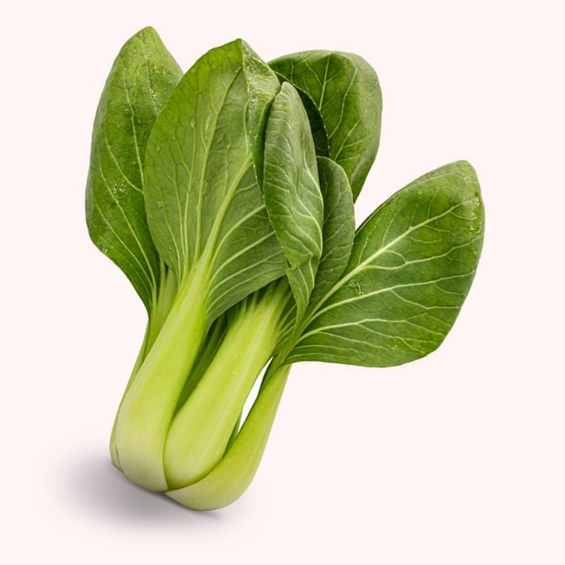 Pakchoi F1 Hybrid Rommy 100 seeds – FreshLeaves Agro Solutions
