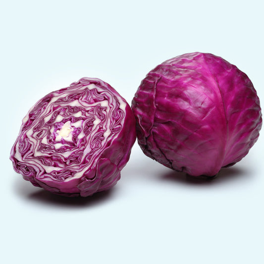 Red Jewel F1 Hybrid Cabbage - 100 seeds