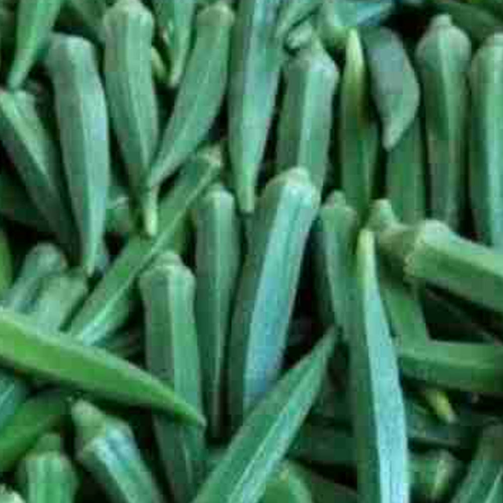 Hybrid Bendhi, Okra, Ladies Finger - 50 seeds
