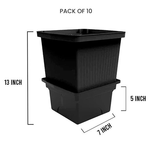 Self Watering Planter Potwith Water Reservoir (Pack of 10) | Indoor & Outdoor Durable Plastic Plant Pot with Water Level Indicator (Black)