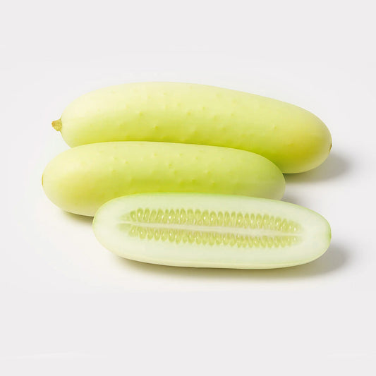 Cucumber - Snow white - 20 seeds