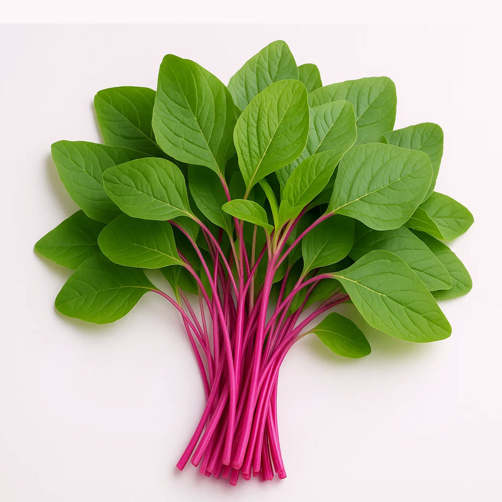 Amaranthus (Cheera) Sundari - stem rose Seeds