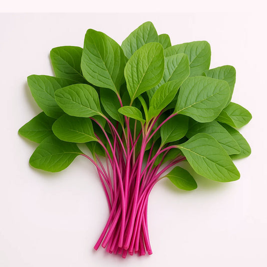 Amaranthus (Cheera) Sundari - stem rose Seeds